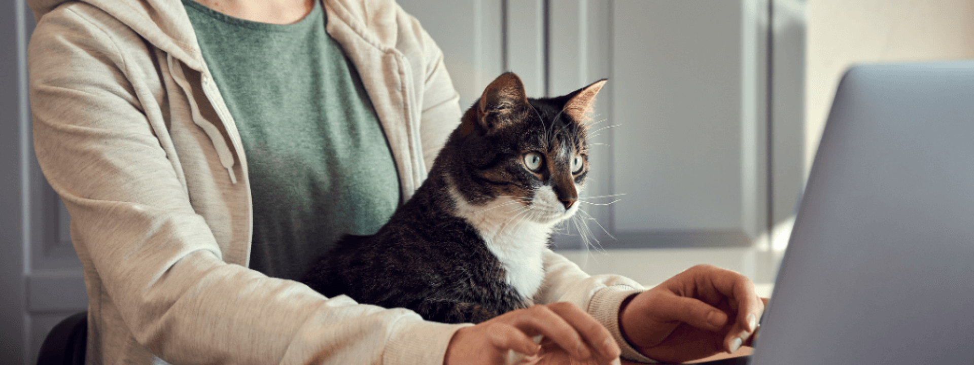 bringing pets to work 