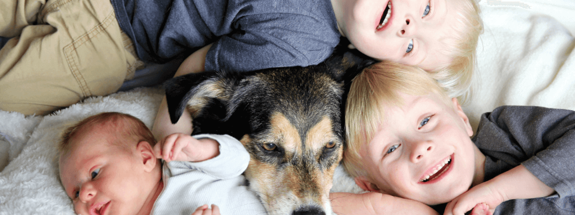 preparing kids for pet loss